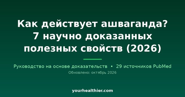 Как действует ашваганда? 7 научно доказанных полезных свойств (2026)
