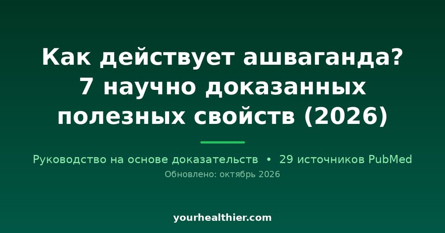 Как действует ашваганда? 7 научно доказанных полезных свойств (2026)