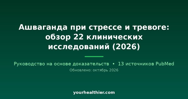 Ашваганда при стрессе и тревоге: обзор 22 клинических исследований (2026)