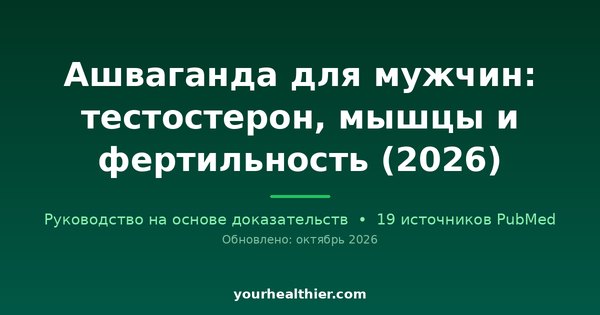 Ашваганда для мужчин: тестостерон, мышцы и фертильность (2026)
