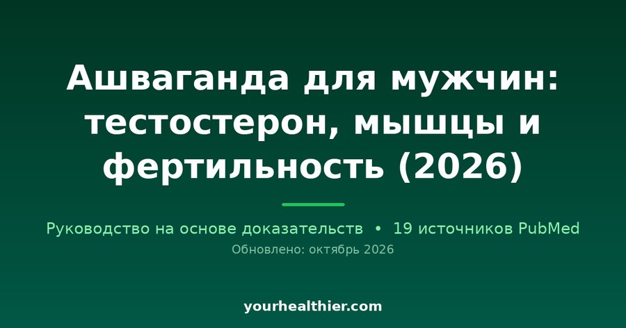 Ашваганда для мужчин: тестостерон, мышцы и фертильность (2026)