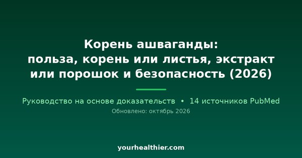 Корень ашваганды: польза, корень или листья, экстракт или порошок и безопасность (2026)