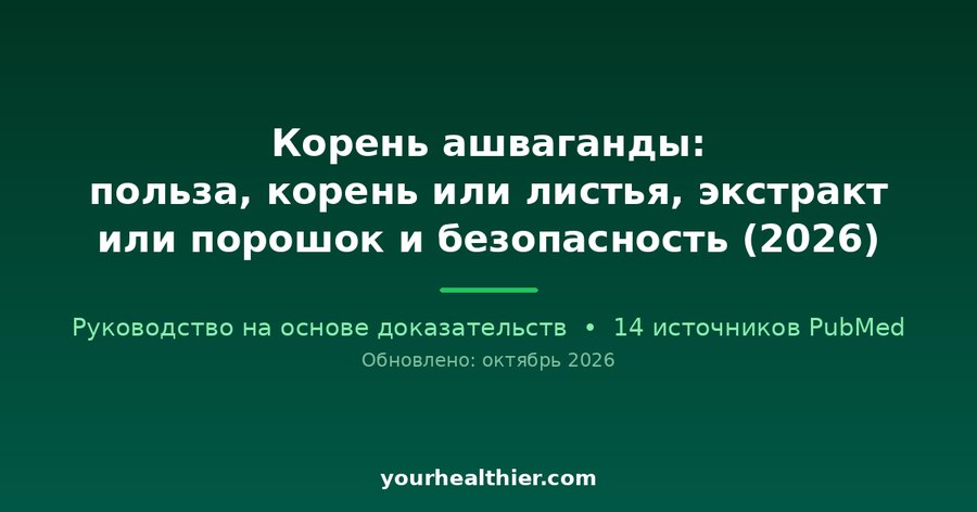 Корень ашваганды: польза, корень или листья, экстракт или порошок и безопасность (2026)