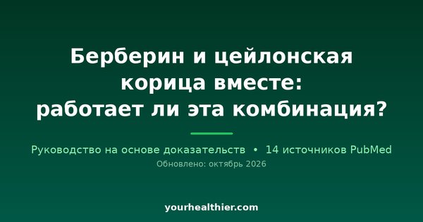 Берберин и цейлонская корица вместе: работает ли эта комбинация?