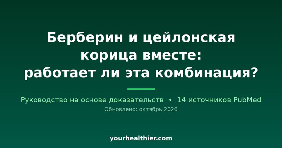 Берберин и цейлонская корица вместе: работает ли эта комбинация?