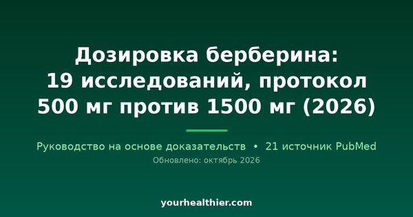 Дозировка берберина: 19 исследований, протокол 500 мг против 1500 мг (2026)