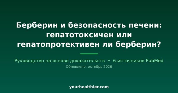 Берберин и безопасность печени: гепатотоксичен или гепатопротективен ли берберин?