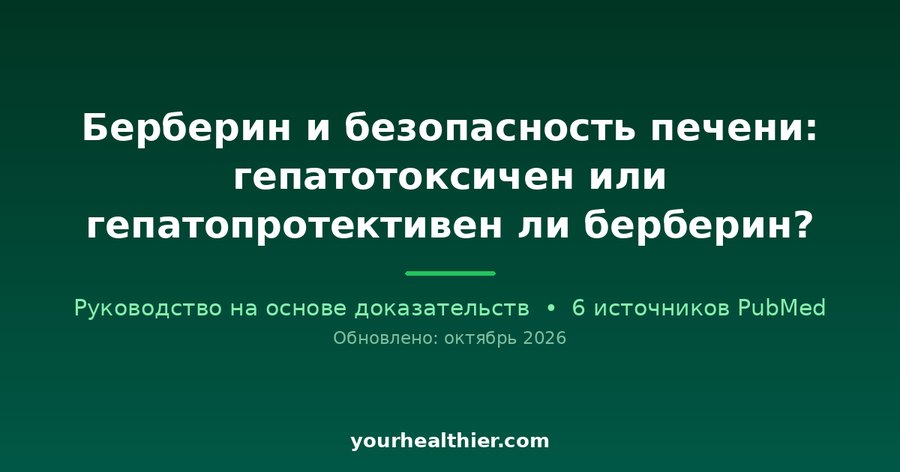 Берберин и безопасность печени: гепатотоксичен или гепатопротективен ли берберин?