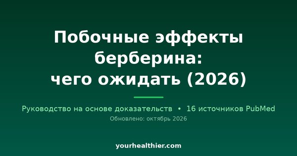 Побочные эффекты берберина: чего ожидать (2026)