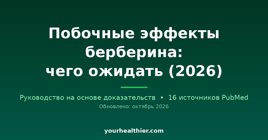 Побочные эффекты берберина: чего ожидать (2026)