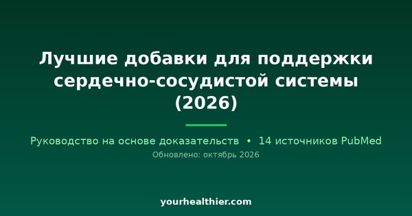 Лучшие добавки для поддержки сердечно-сосудистой системы (2026)