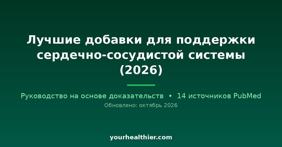 Лучшие добавки для поддержки сердечно-сосудистой системы (2026)