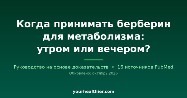 Когда принимать берберин для метаболизма: утром или вечером?