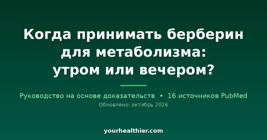 Когда принимать берберин для метаболизма: утром или вечером?
