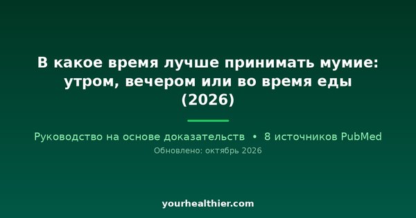 В какое время лучше принимать мумие: утром, вечером или во время еды (2026)