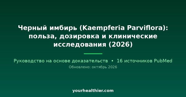 Черный имбирь (Kaempferia Parviflora): польза, дозировка и клинические исследования (2026)