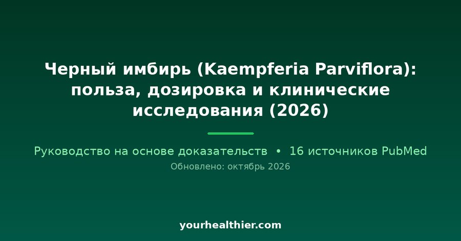 Черный имбирь (Kaempferia Parviflora): польза, дозировка и клинические исследования (2026)