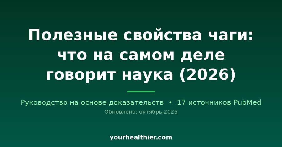 Полезные свойства чаги: что на самом деле говорит наука (2026)
