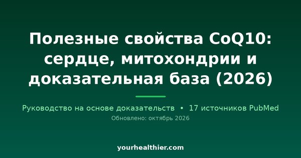 Полезные свойства CoQ10: сердце, митохондрии и доказательная база (2026)