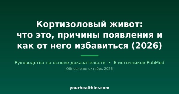 Кортизоловый живот: что это, причины появления и как от него избавиться (2026)
