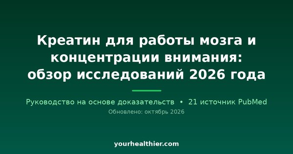 Креатин для работы мозга и концентрации внимания: обзор исследований 2026 года