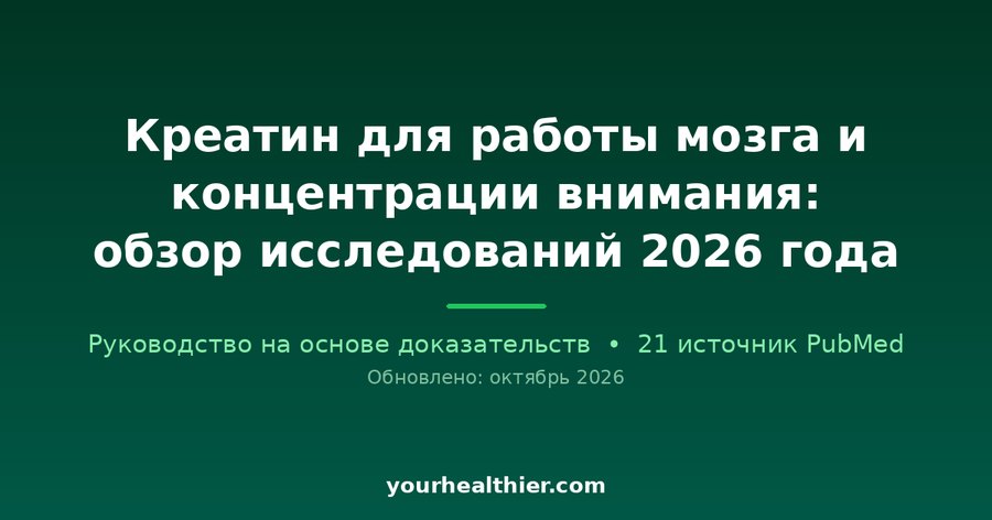 Креатин для работы мозга и концентрации внимания: обзор исследований 2026 года