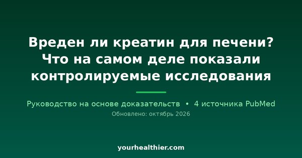 Вреден ли креатин для печени? Что на самом деле показали контролируемые исследования