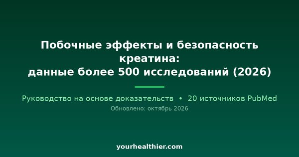 Побочные эффекты и безопасность креатина: данные более 500 исследований (2026)