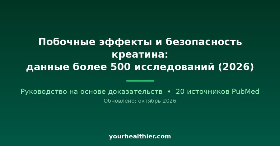 Побочные эффекты и безопасность креатина: данные более 500 исследований (2026)