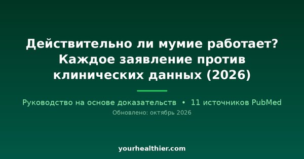 Действительно ли мумие работает? Каждое заявление против клинических данных (2026)