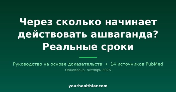 Через сколько начинает действовать ашваганда? Реальные сроки