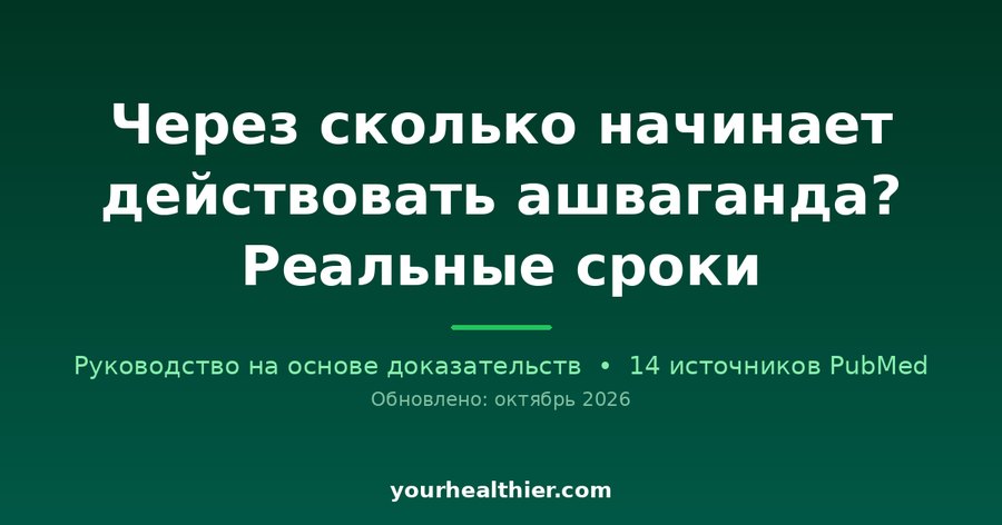 Через сколько начинает действовать ашваганда? Реальные сроки