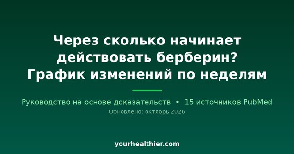 Через сколько начинает действовать берберин? График изменений по неделям