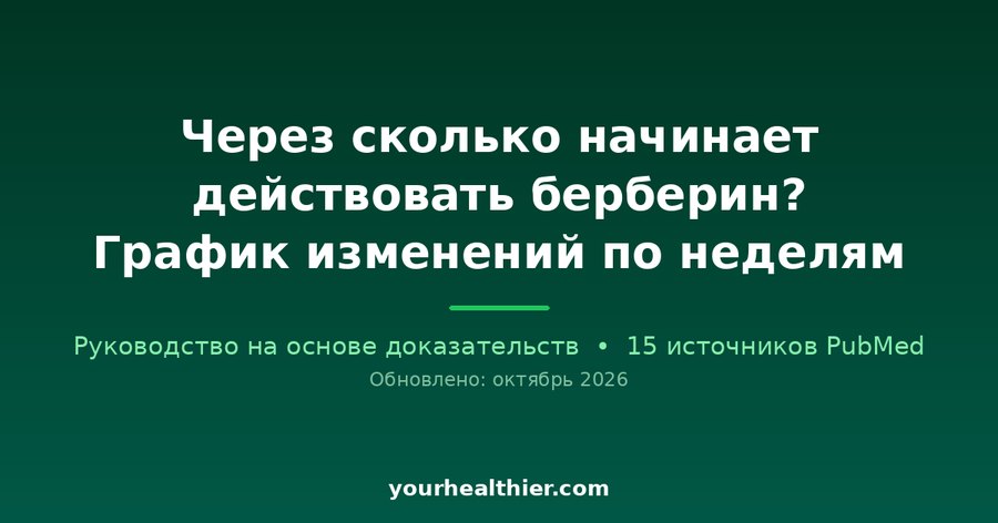 Через сколько начинает действовать берберин? График изменений по неделям