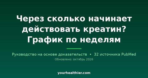 Через сколько начинает действовать креатин? График по неделям