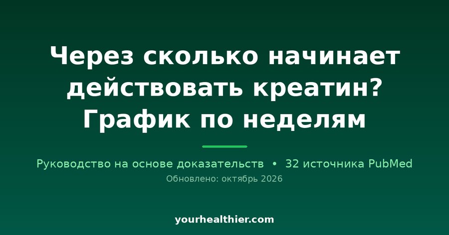 Через сколько начинает действовать креатин? График по неделям