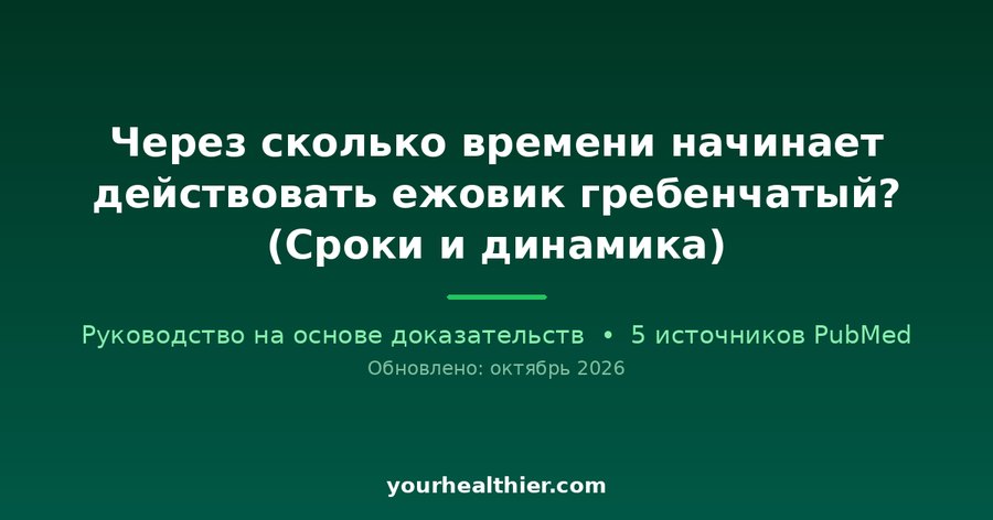 Через сколько времени начинает действовать ежовик гребенчатый? (Сроки и динамика)