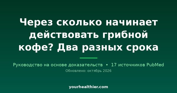 Через сколько начинает действовать грибной кофе? Два разных срока