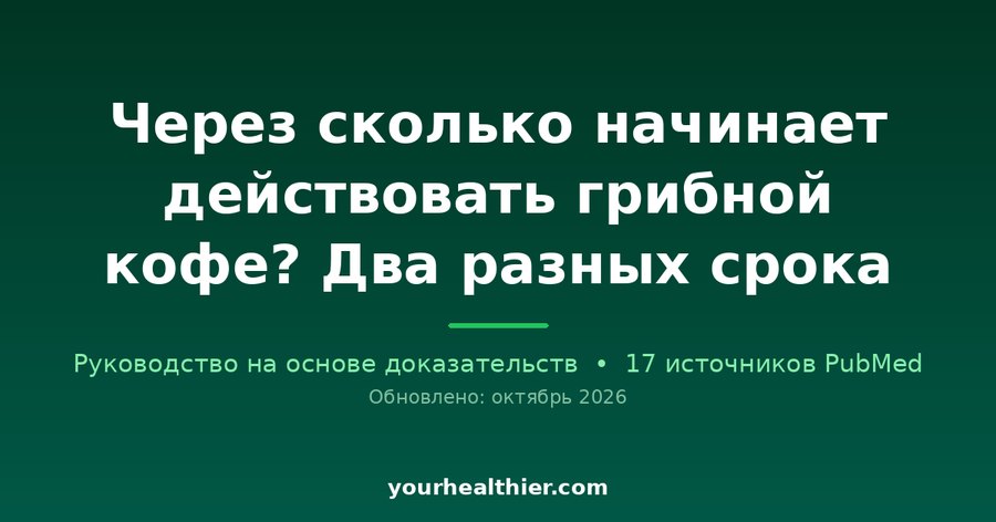 Через сколько начинает действовать грибной кофе? Два разных срока