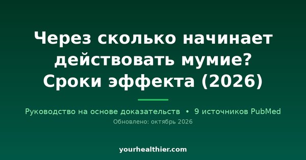Через сколько начинает действовать мумие? Сроки эффекта (2026)