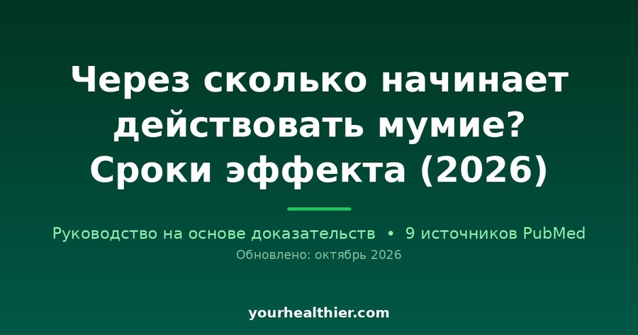 Через сколько начинает действовать мумие? Сроки эффекта (2026)