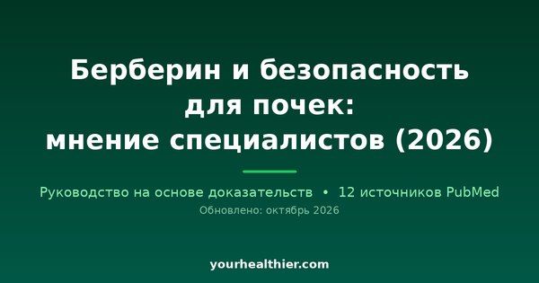 Берберин и безопасность для почек: мнение специалистов (2026)