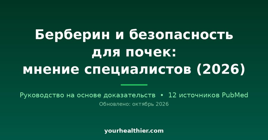Берберин и безопасность для почек: мнение специалистов (2026)
