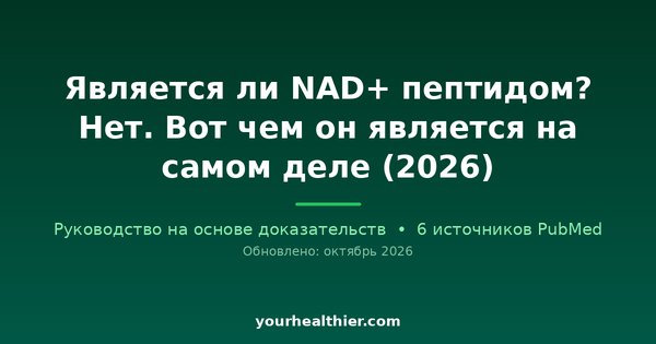 Является ли NAD+ пептидом? Нет. Вот чем он является на самом деле (2026)