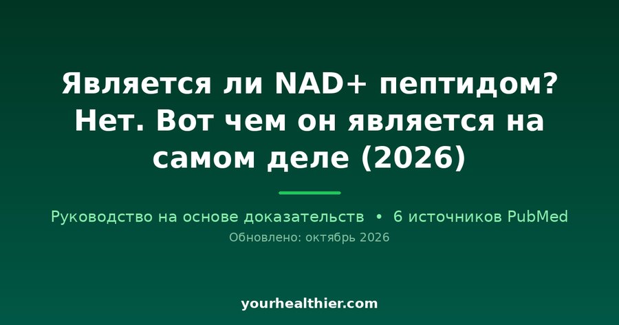 Является ли NAD+ пептидом? Нет. Вот чем он является на самом деле (2026)