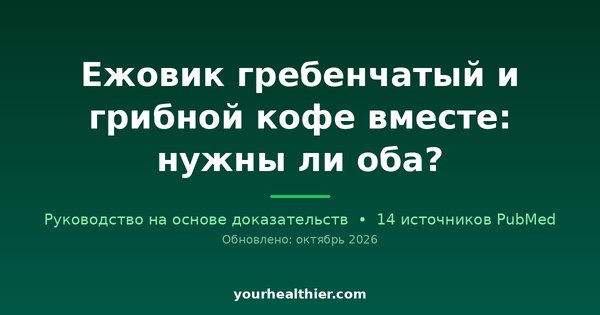 Ежовик гребенчатый и грибной кофе вместе: нужны ли оба?