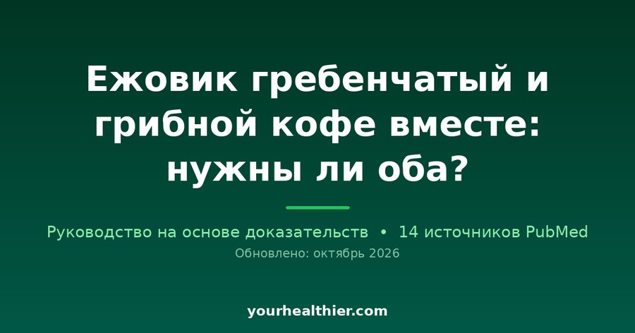 Ежовик гребенчатый и грибной кофе вместе: нужны ли оба?