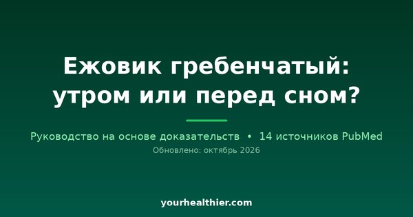 Ежовик гребенчатый: утром или перед сном?