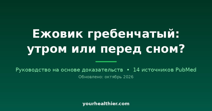 Ежовик гребенчатый: утром или перед сном?
