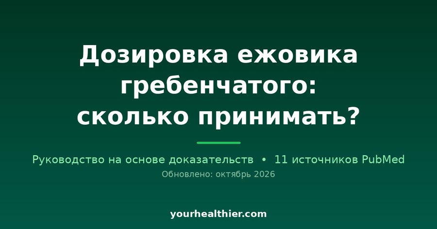 Дозировка ежовика гребенчатого: сколько принимать?